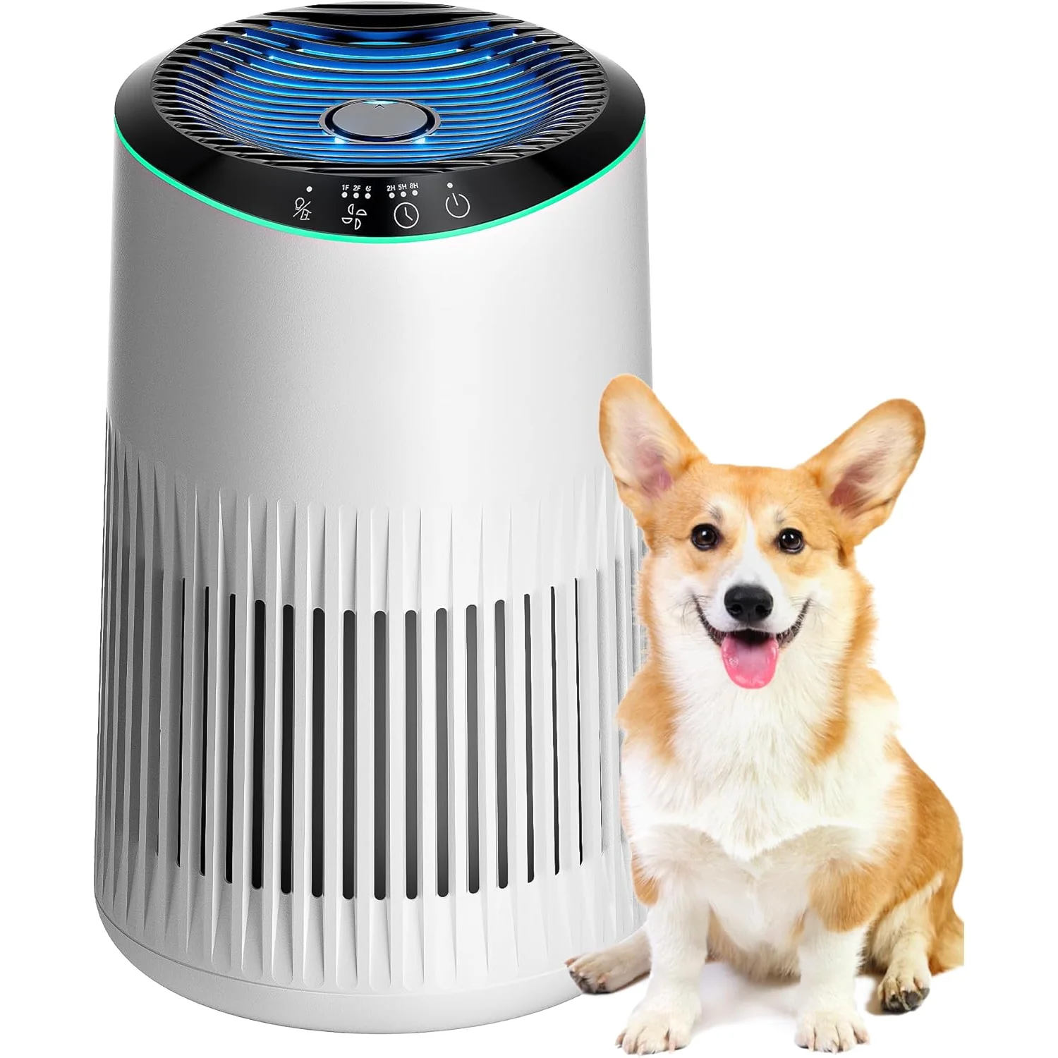 MORENTO MR2566 purifier with a corgi beside it